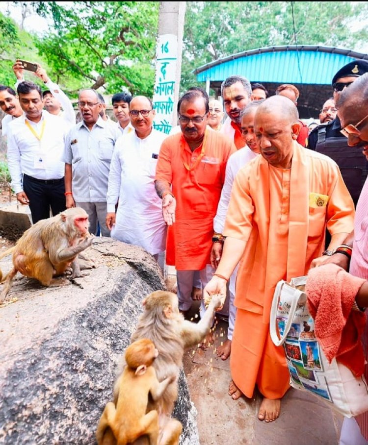 मिर्जामुराद राजपुर गांव के सामने रेलवे ट्रैक पर बकरी चरा रहे भाई-बहन की ट्रेन की चपेट में आने से मौत