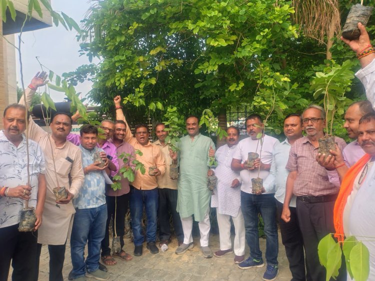 'एक पेड़ माँ के नाम' अभियान: भाजपा प्रयागराज महानगर 12 जुलाई को हर बूथ पर करेगी वृक्षारोपण