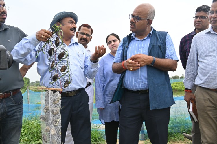 खेत तालाबों में तैयार हो रहे डिजाइनर पर्ल, मत्स्य पालन से भी बढ़ रही किसानों की आय : जिलाधिकारी