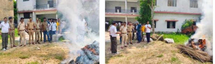 ऑपरेशन 'दहन': प्रयागराज में नष्ट किया गया 72.31 लाख रुपये का गांजा