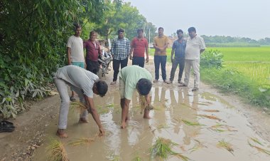 सड़क पर धान रोपकर ग्रामीणों का अनोखा प्रदर्शन, जर्जर सड़क के विरोध में फूटा आक्रोश