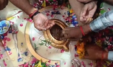 सावन के पहले सोमवार पर शिवालयों में उमड़ा आस्था का सैलाब