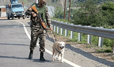 अनुच्छेद 370 हटाने की सातवीं बरसी आज, जम्मू-कश्मीर में कड़ी सुरक्षा, अमरनाथ यात्रियों की आवाजाही पर अस्थायी रोक