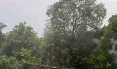 यूपी में मानसून हुआ सक्रिय, अगले 48 घंटे भारी बारिश का अलर्ट, कई जिलों में गरज-चमक के साथ वर्षा की चेतावनी