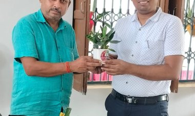 ग्रीन गुरु अनिल ने रोपा लिली का पाैधा
