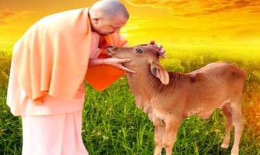 गो संरक्षण में अब जेन जी की एंट्री, गांव-गांव तैयार होंगे 10 हजार ‘गो मित्र'