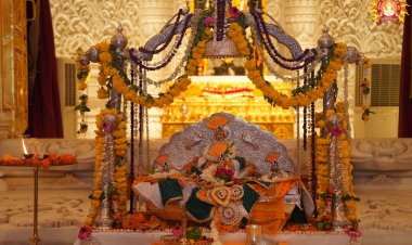 श्री राम जन्मभूमि में चांदी के झूले में विराजमान हुए रामलला, भाव-विभोर हुए श्रद्धालु