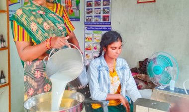 योगी सरकार की नीतियों का असर, श्वेतक्रांति की अग्रदूत बनीं पौने चार लाख महिलाएं