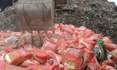 न्यायालय के आदेश पर 36,580 किलो असुरक्षित भुना चना नष्ट : धर्मेंद्र कुमार द्विवेदी