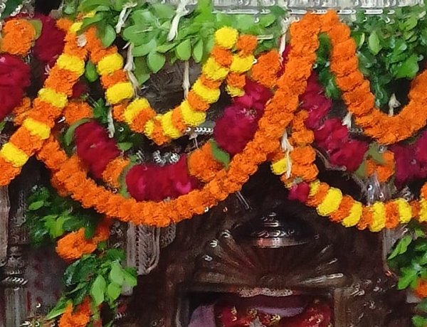 मीरजापुर : मायके से डोली में सवार होकर आएंगी मां भंडारी, जयकारों से गूंजेगा अहरौरा