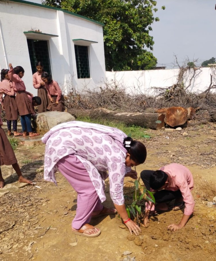 हरियाली का हमारे जीवन में बड़ा महत्व,पौधें लगाने और उसे सुरक्षित रखने की जिम्मेदारी लेनी होगी