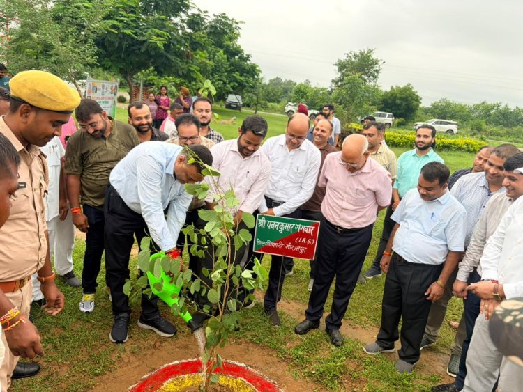 मीरजापुर : ’एक पेड़ मां के नाम’ से संवरा बीएचयू का दक्षिणी परिसर, 8 हजार पौधों से हरियाली का विस्तार