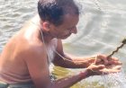 पितृपक्ष विशेष: अमरकंटक के आरंडी संगम पर श्राद्ध, तर्पण और पिंडदान की विशेष धार्मिक परंपरा
