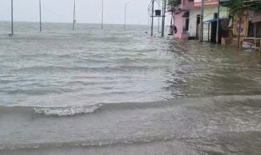 Prayagraj Flood Update: गंगा-यमुना का जलस्तर घटा, बाढ़ का खतरा टला; फाफामऊ में 82.86 मीटर