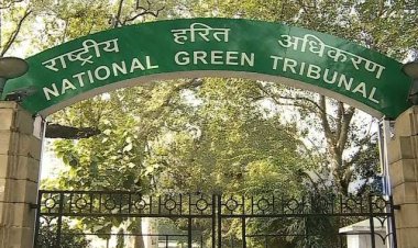 पर्यावरण और जलवायु पर 19 सितंबर से अंतरराष्ट्रीय मंथन, 17 देशों के न्यायिक प्रतिनिधि होंगे शामिल