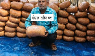 प्रयागराज STF की मिर्जापुर में बड़ी कार्रवाई, ट्रक से 198 किलो गांजा बरामद; कीमत करीब 50 लाख रुपये