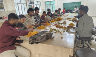 बांदा में उद्यानिकी के छात्र सीख रहे कमाई का हुनर, नर्सरी से उत्पाद बिक्री तक ले रहे प्रैक्टिकल ट्रेनिंग