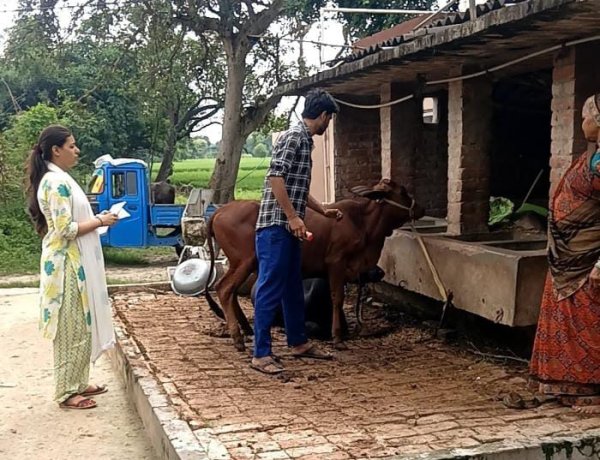 लंपी रोग से बचाव के लिए तेज हुआ टीकाकरण, 40 हजार पशुओं को लगा टीका; 113 गौशालाएं पूरी तरह कवर