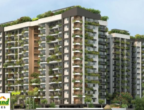 वीगालैंड डेवलपर्स के शेयरों की प्रीमियम लिस्टिंग के बाद गिरावट, लोअर सर्किट पर पहुंचे भाव
