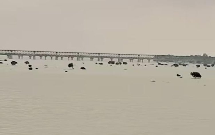 गंगा-यमुना का जलस्तर फिर बढ़ा, 24 घंटे में यमुना 34 सेमी चढ़ी; बाढ़ नियंत्रण कक्ष अलर्ट