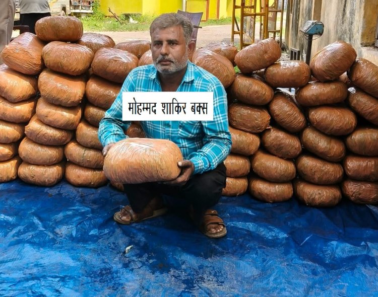 प्रयागराज STF की मिर्जापुर में बड़ी कार्रवाई, ट्रक से 198 किलो गांजा बरामद; कीमत करीब 50 लाख रुपये