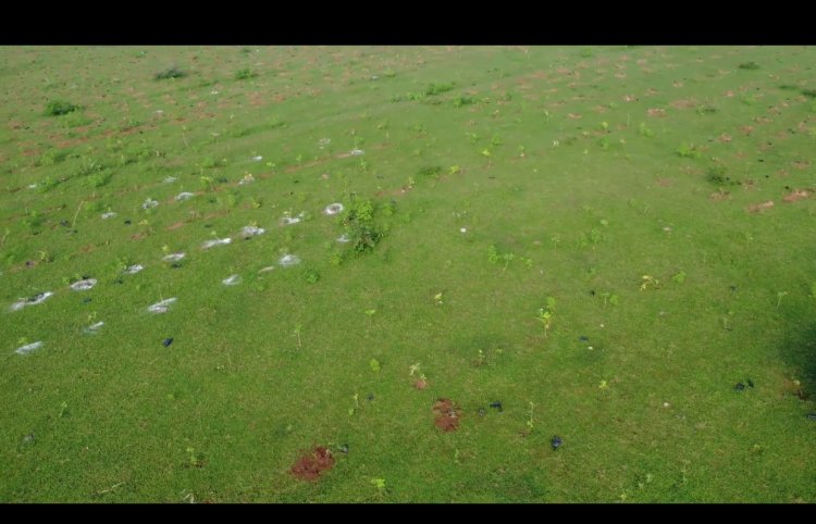 उत्तर मध्य रेलवे में हर बूंद सहेजने की पहल, 124 वर्षा जल संचयन संरचनाएं तैयार