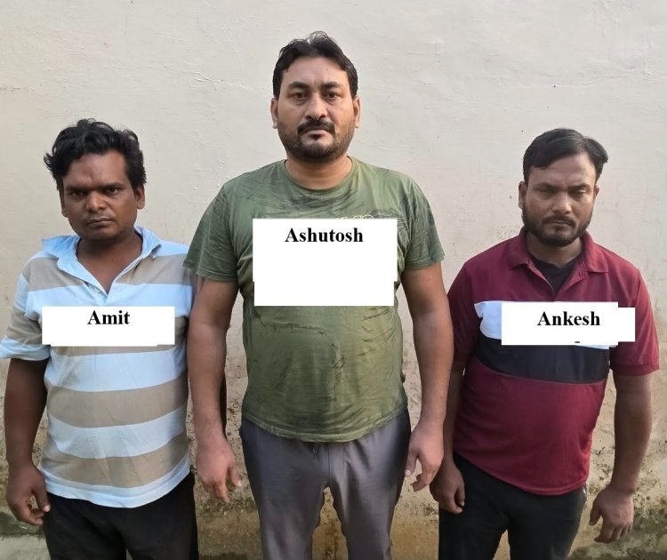 प्रयागराज में STF का बड़ा एक्शन, 1 करोड़ की कोडीन सिरप और नशीली गोलियां बरामद; 3 गिरफ्तार