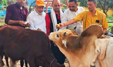 मातृ नवमी पर प्रयागराज में गौमाता का पूजन, राजेश केसरवानी बोले- गौसेवा सभी देवी-देवताओं की सेवा के समान