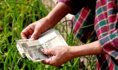 यूपी के 2.24 करोड़ किसानों के खाते में पहुंचे 4,482 करोड़ रुपये, PM किसान सम्मान निधि की 24वीं किस्त जारी
