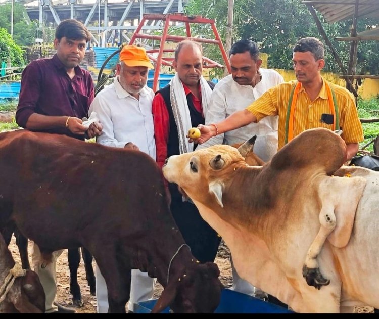 मातृ नवमी पर प्रयागराज में गौमाता का पूजन, राजेश केसरवानी बोले- गौसेवा सभी देवी-देवताओं की सेवा के समान