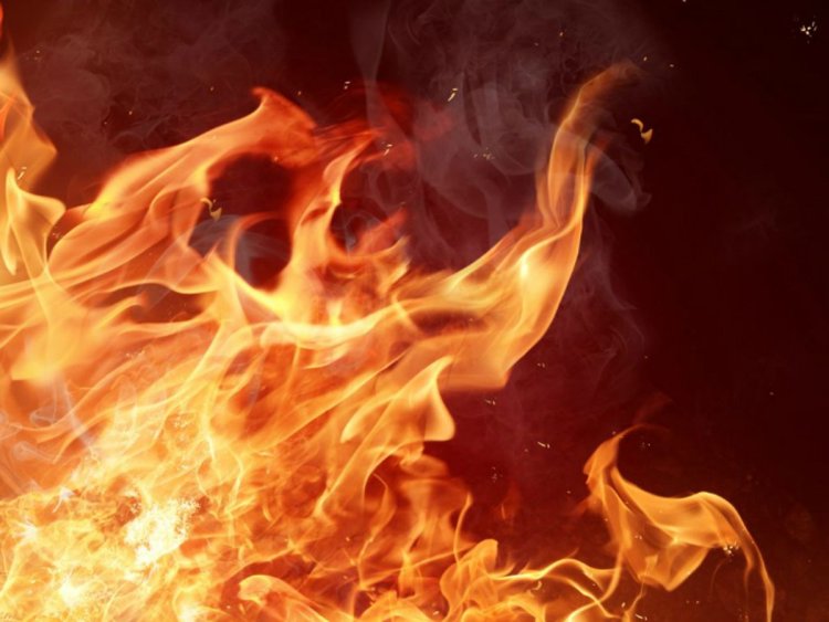 नोएडा की जूता फैक्ट्री में भीषण आग, भगदड़ में तीन लोग घायल नोएडा के सेक्टर-65 स्थित जूता बनाने वाली कंपनी में शुक्रवार रात लगी आग, दमकल विभाग ने आग पर पाया काबू